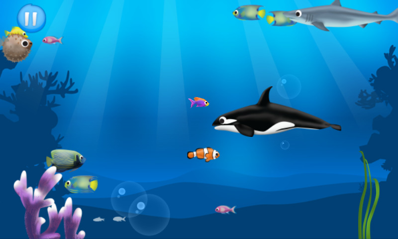 Hungry fish APK