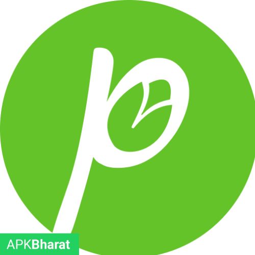 Green Pista APK icon
