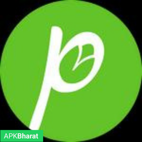 Green Pista Mod APK APK