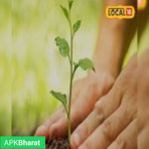 Hariyalo Rajasthan APK icon